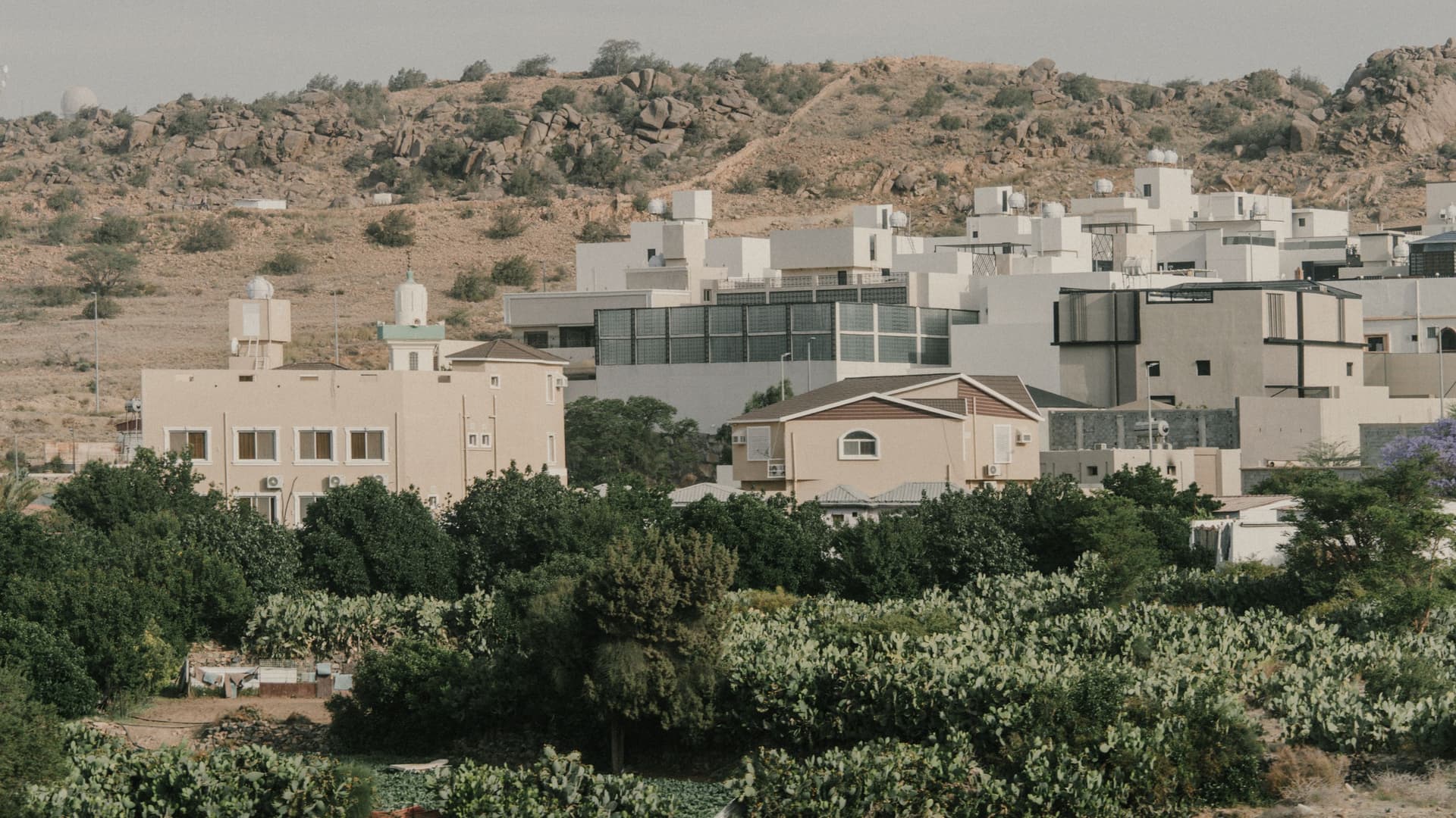 Taif Ziarah