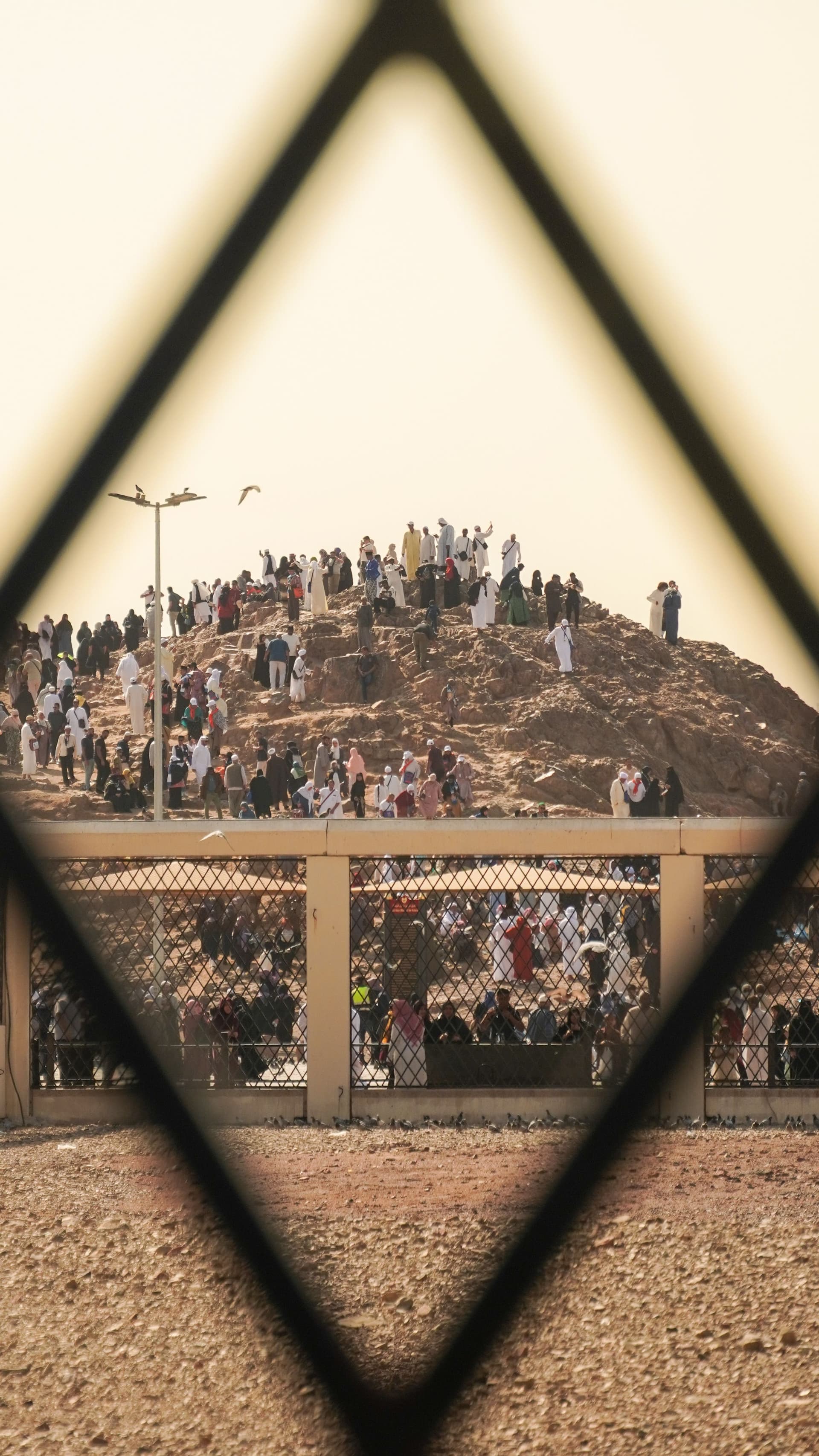 Arafat
